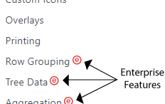 Enterprise Features