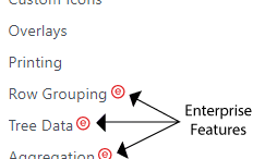 Enterprise Features