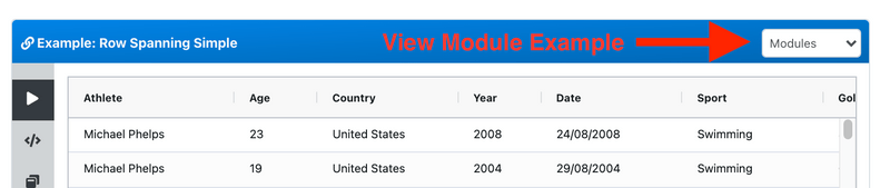 Module Examples