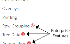 Enterprise Features
