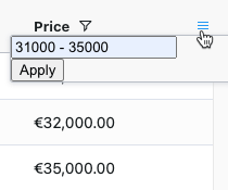 custom filter